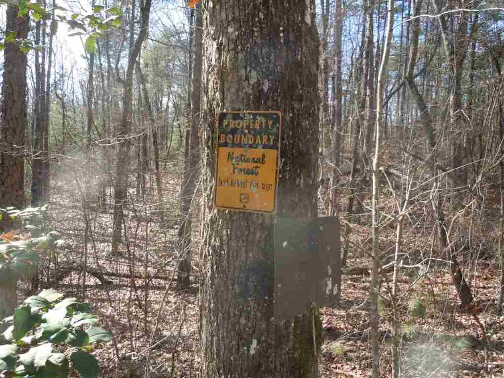 Woodall Shoals Road Mountain Rest, SC 29664 - Photo 5 of 10 Gallery Image 5