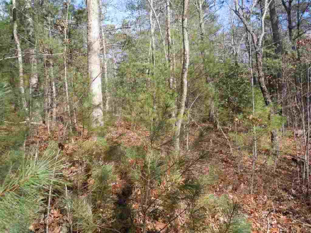 Woodall Shoals Road Mountain Rest, SC 29664 - Photo 10 of 10 Gallery Image 10