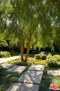 a garden view with large trees