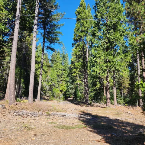 a view of a backyard of a house