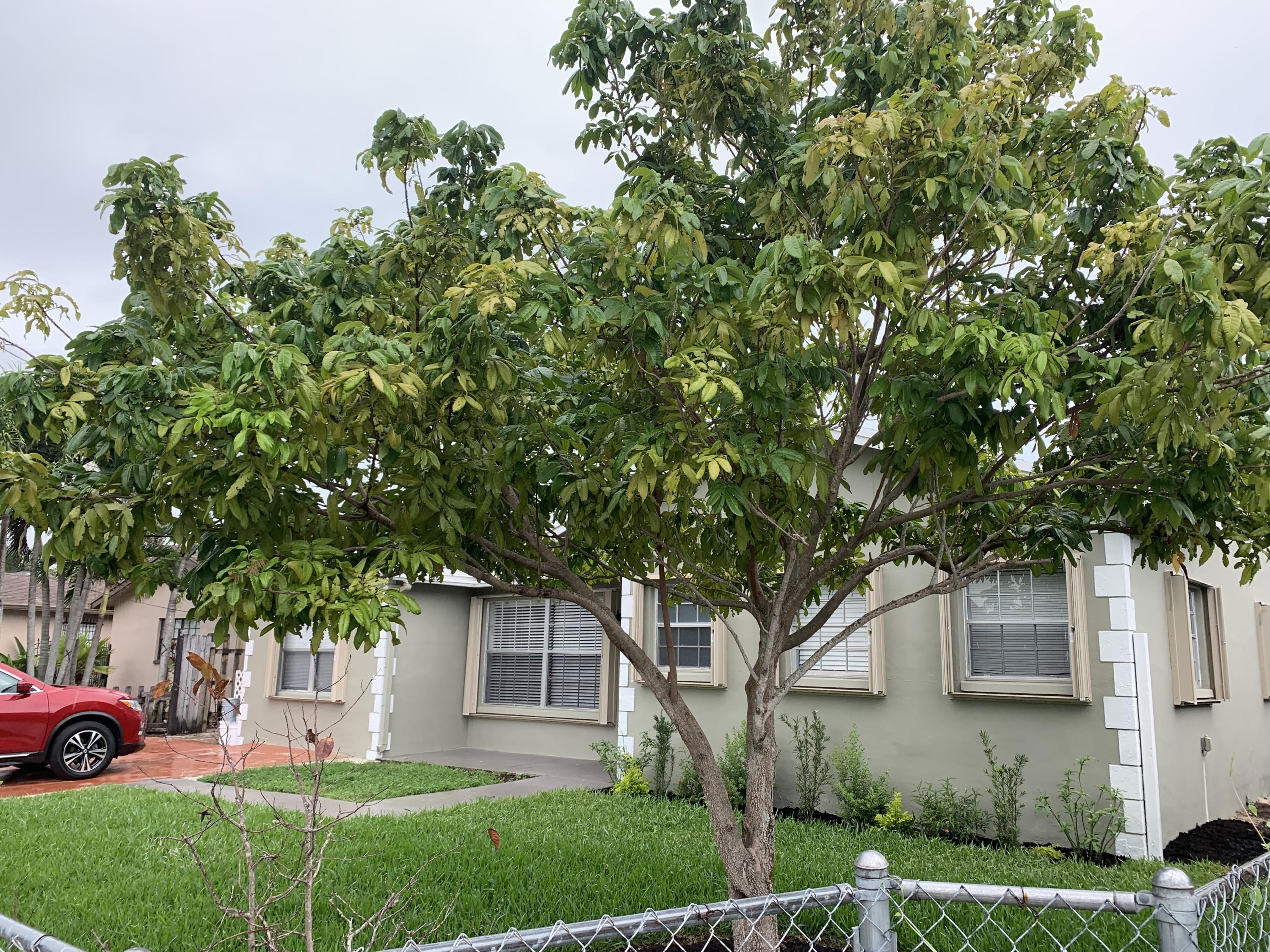 9253 Southwest 3rd Street Boca Raton, FL 33428 - Photo 2 of 32 Front