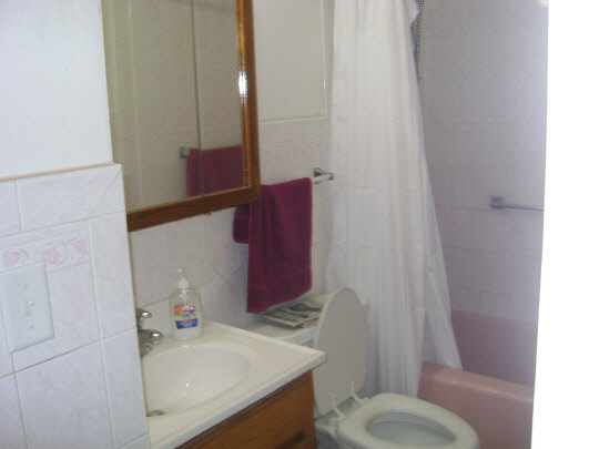 502 Barry Road Rockford, IL 61109 - Photo 6 of 9 a bathroom with a sink and toilet