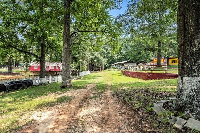 a view of a park with large trees