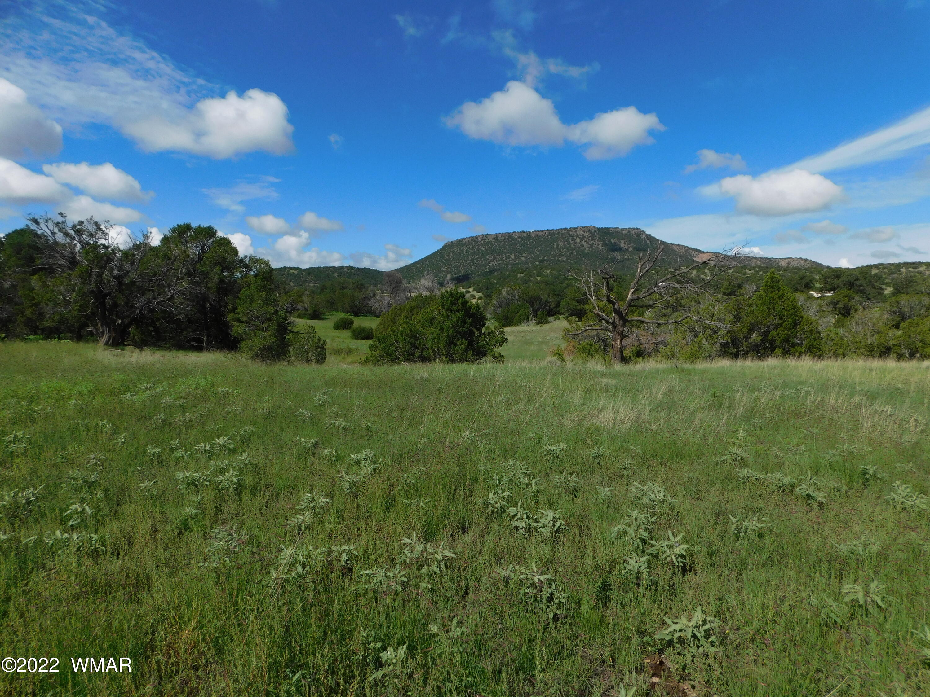 28 County Road 4128 Springerville, AZ 85938 - Photo 1 of 11