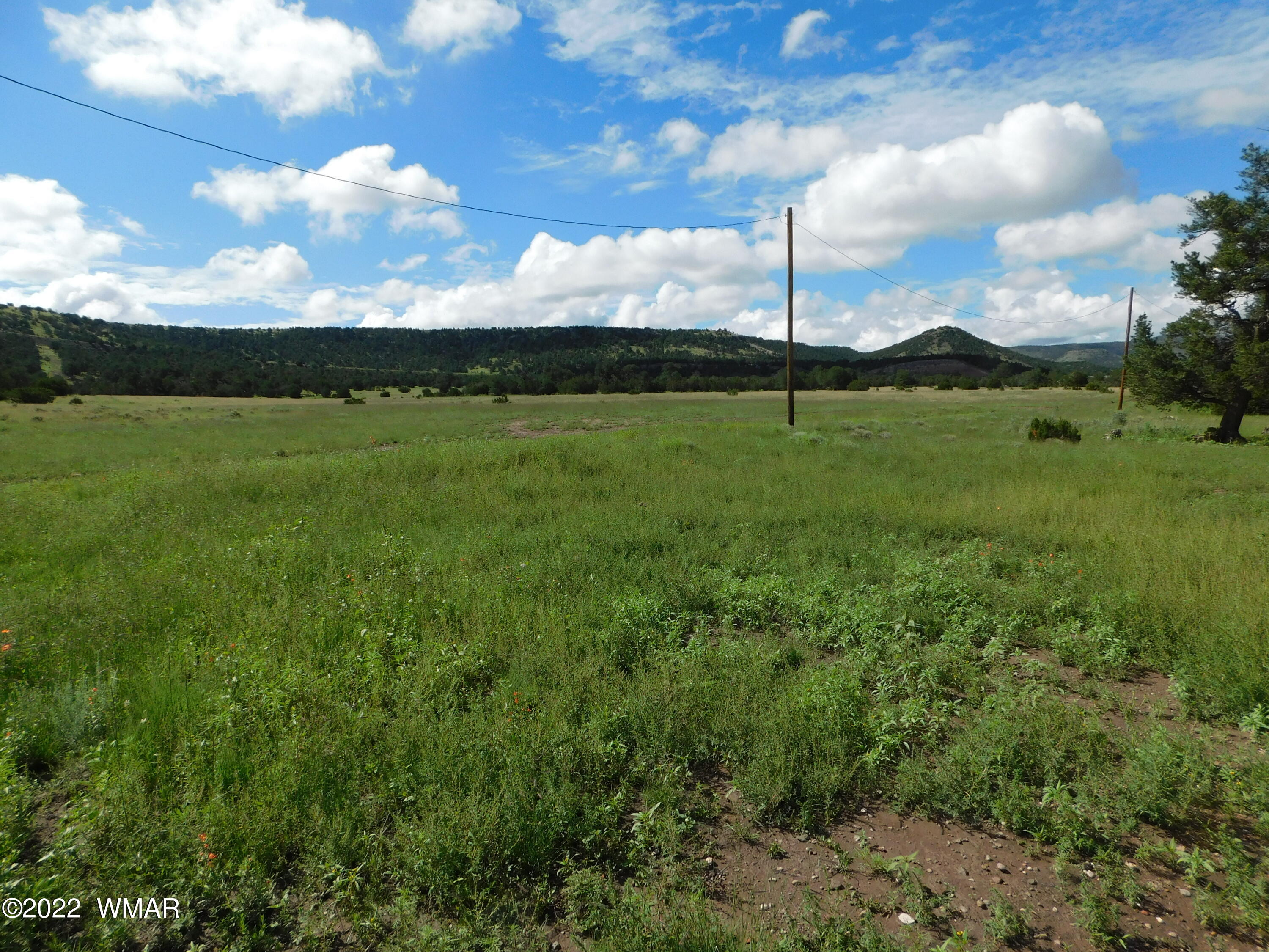 28 County Road 4128 Springerville, AZ 85938 - Photo 11 of 11