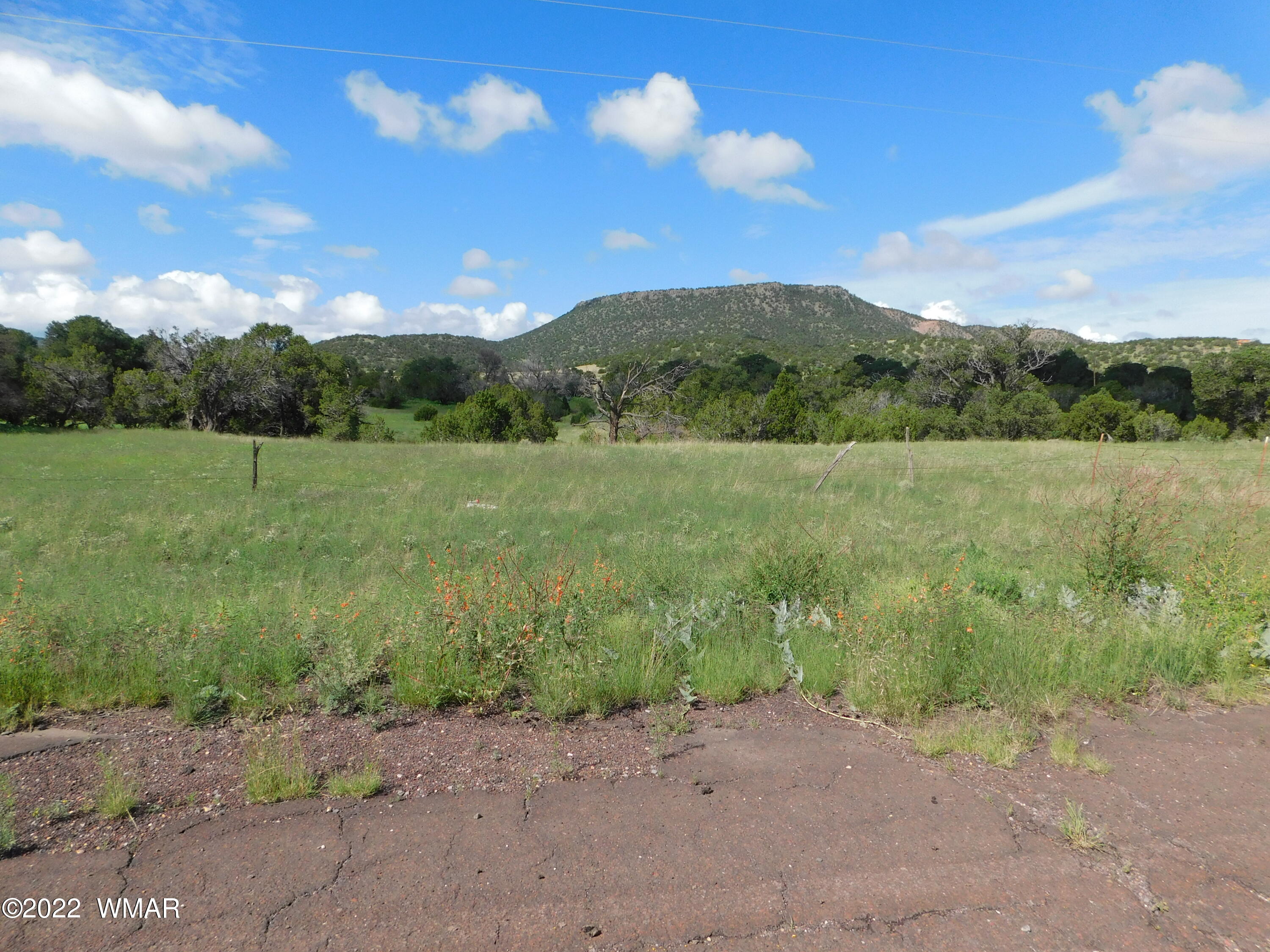 28 County Road 4128 Springerville, AZ 85938 - Photo 2 of 11