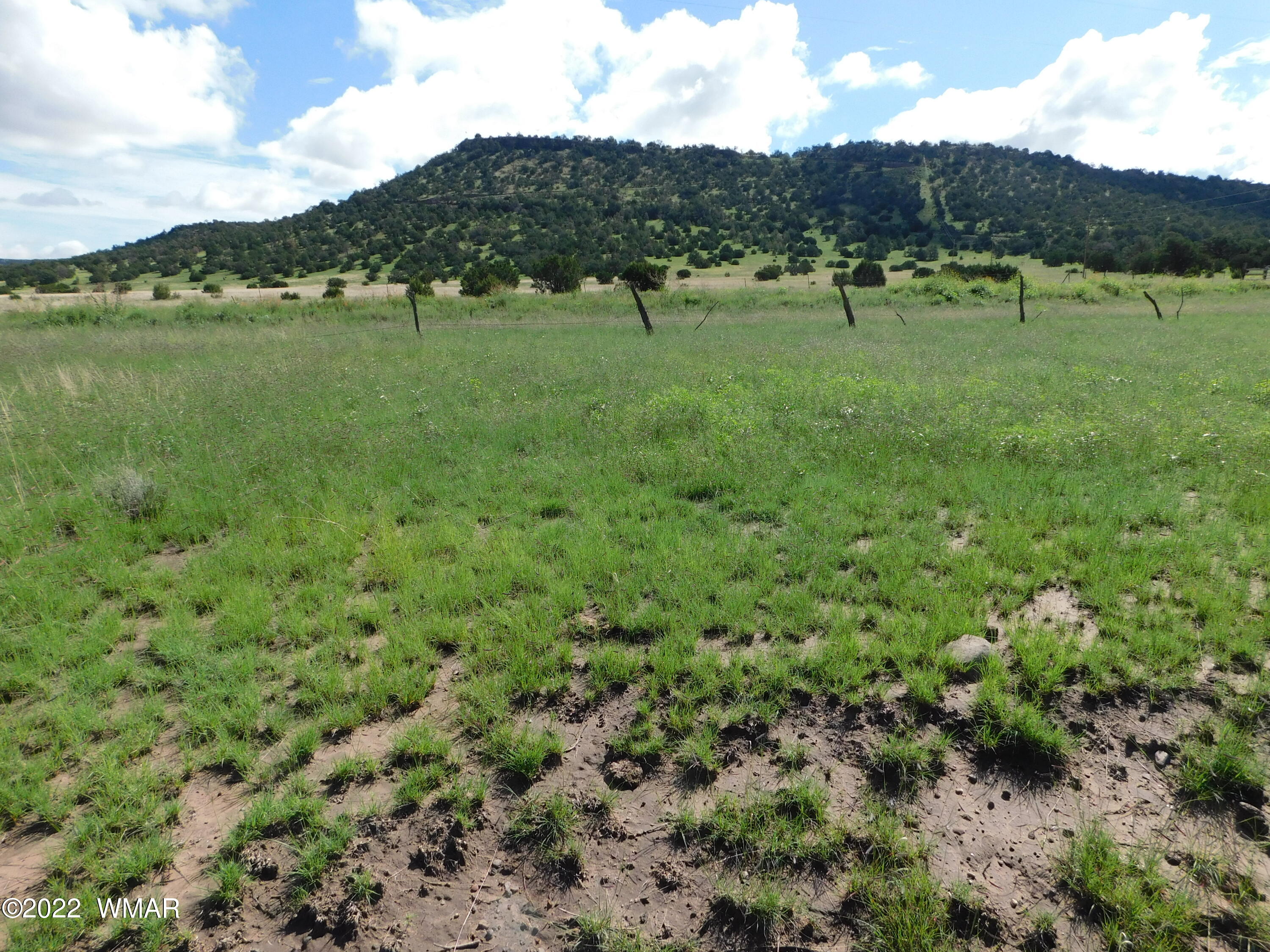 28 County Road 4128 Springerville, AZ 85938 - Photo 3 of 11