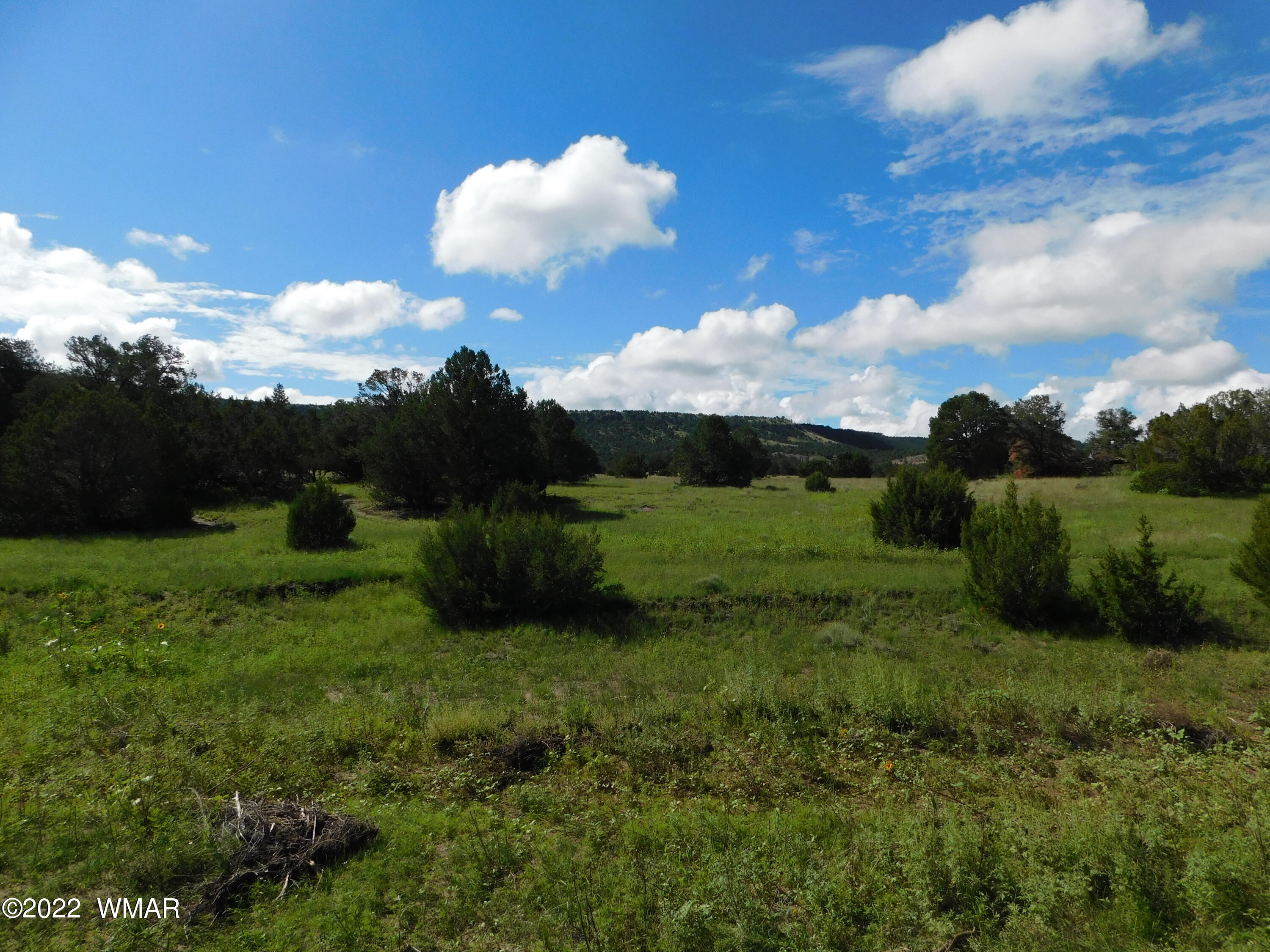 28 County Road 4128 Springerville, AZ 85938 - Photo 4 of 11