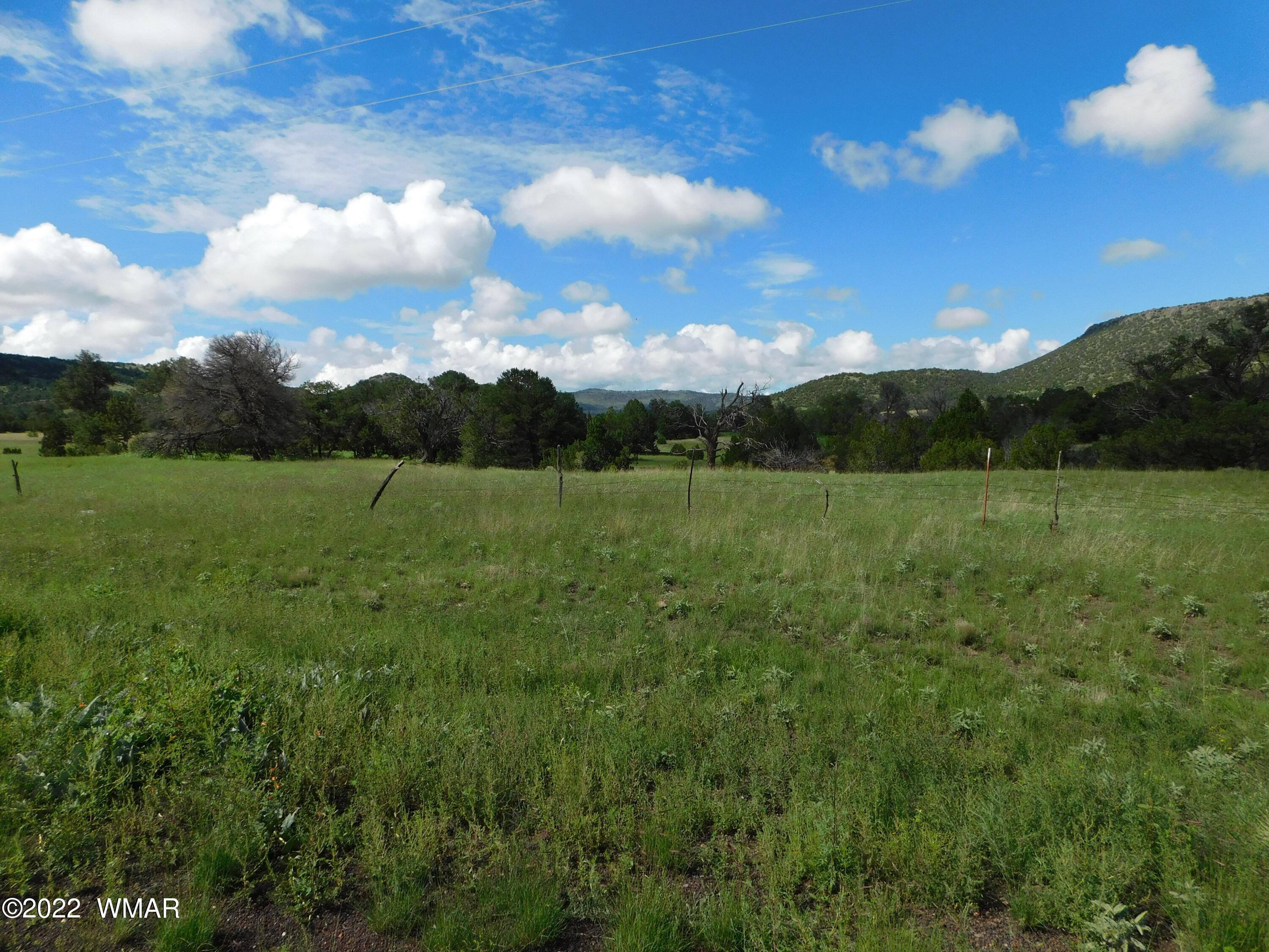 28 County Road 4128 Springerville, AZ 85938 - Photo 7 of 11
