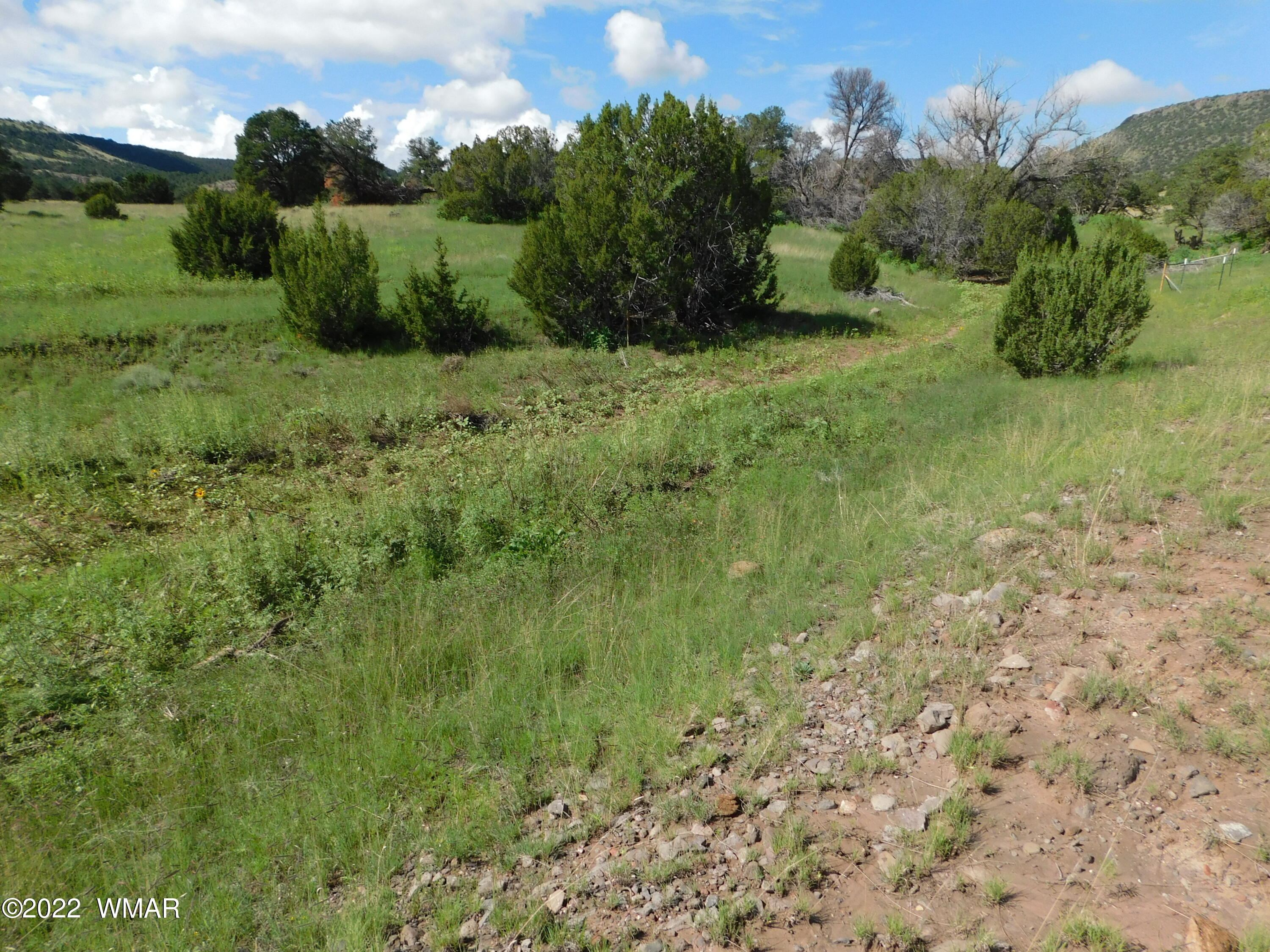 28 County Road 4128 Springerville, AZ 85938 - Photo 8 of 11