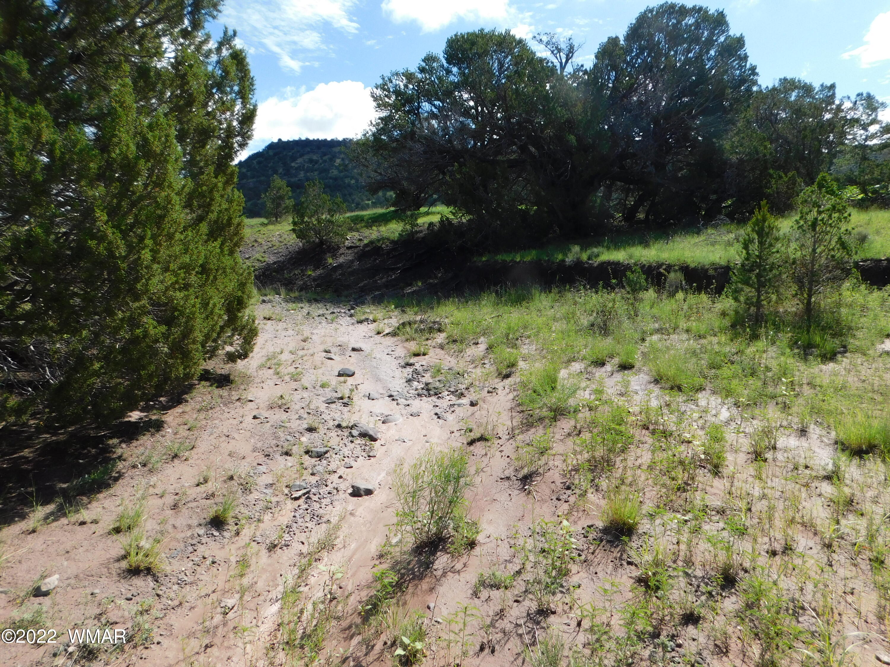 28 County Road 4128 Springerville, AZ 85938 - Photo 9 of 11
