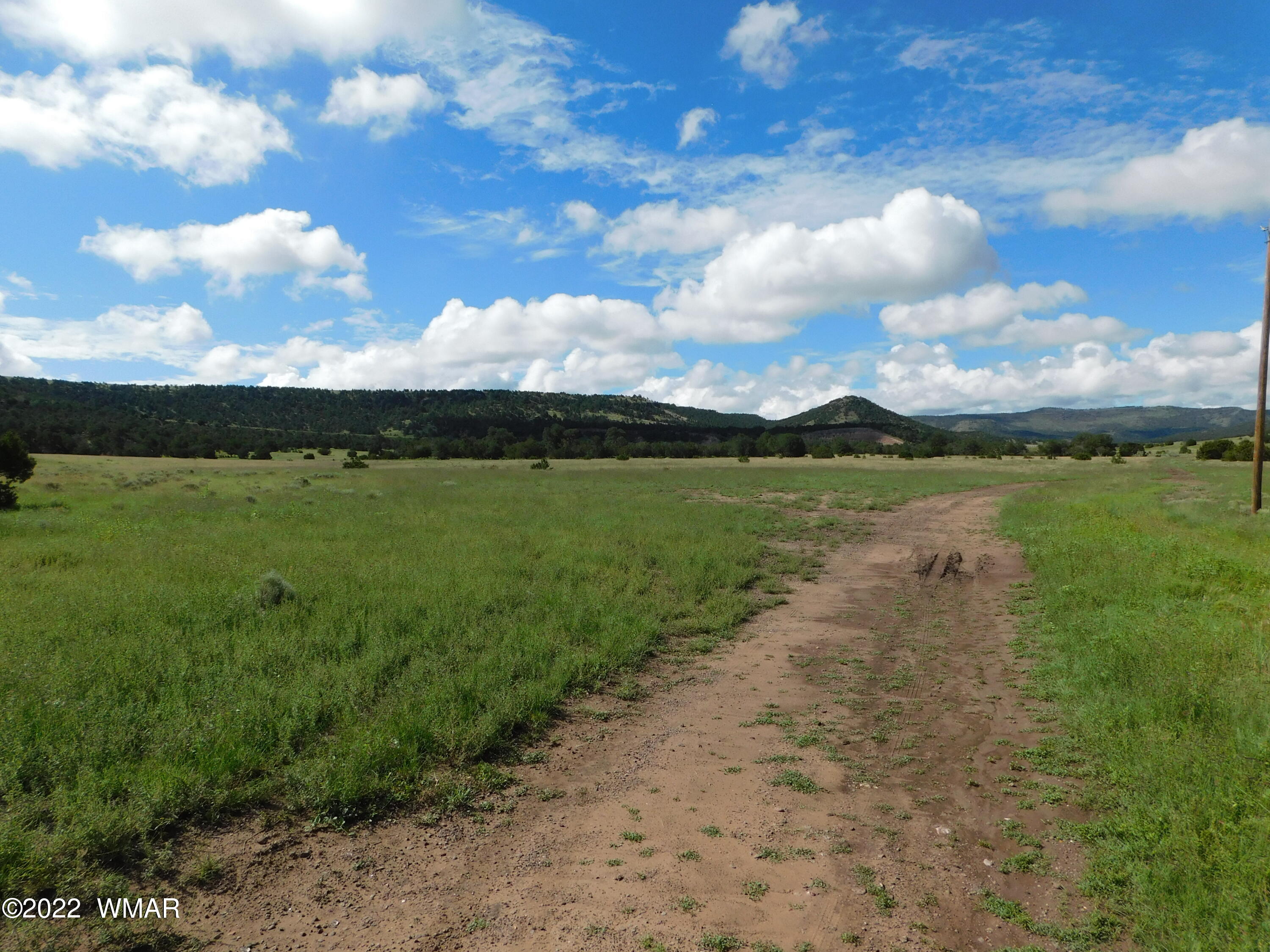 28 County Road 4128 Springerville, AZ 85938 - Photo 10 of 11