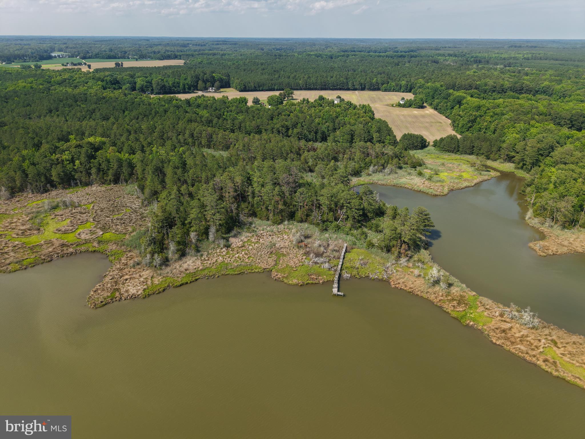4921 Morattico Road Lancaster, VA 22503 - Photo 8 of 12