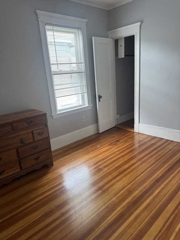 16 St Marks Road, Unit 3 Boston, MA 02124 - Photo 6 of 16 Gallery Image 6