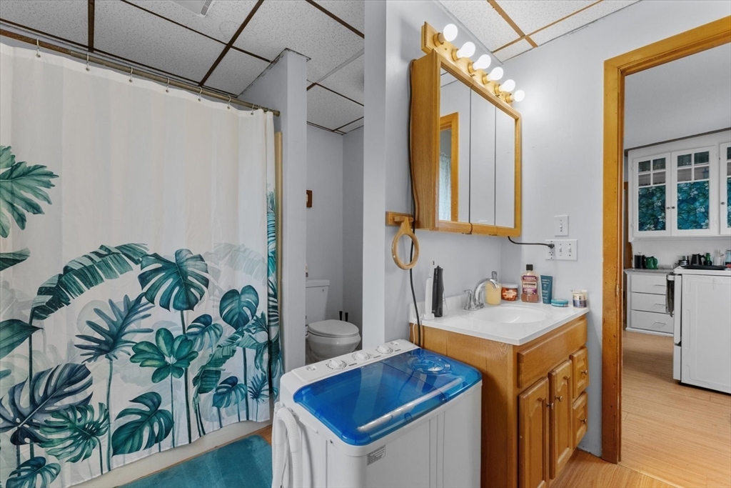 15 Steele Street Worcester, MA 01607 - Photo 12 of 42 a bathroom with a sink a potted plant and a mirror