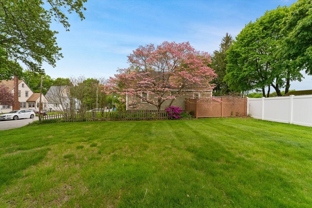 15 Steele Street Worcester, MA 01607 - Photo 36 of 42 a view of a backyard with a garden and trees