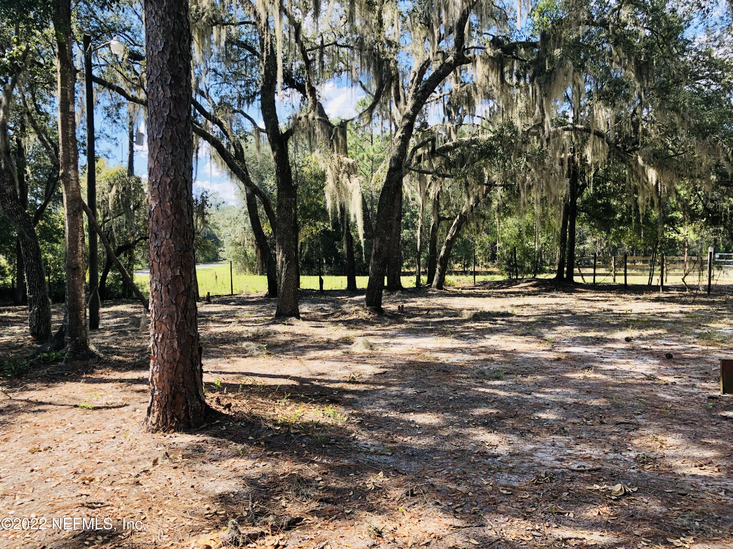 201 Neal Road Hawthorne, FL 32640 - Photo 11 of 13 IMG_6908
