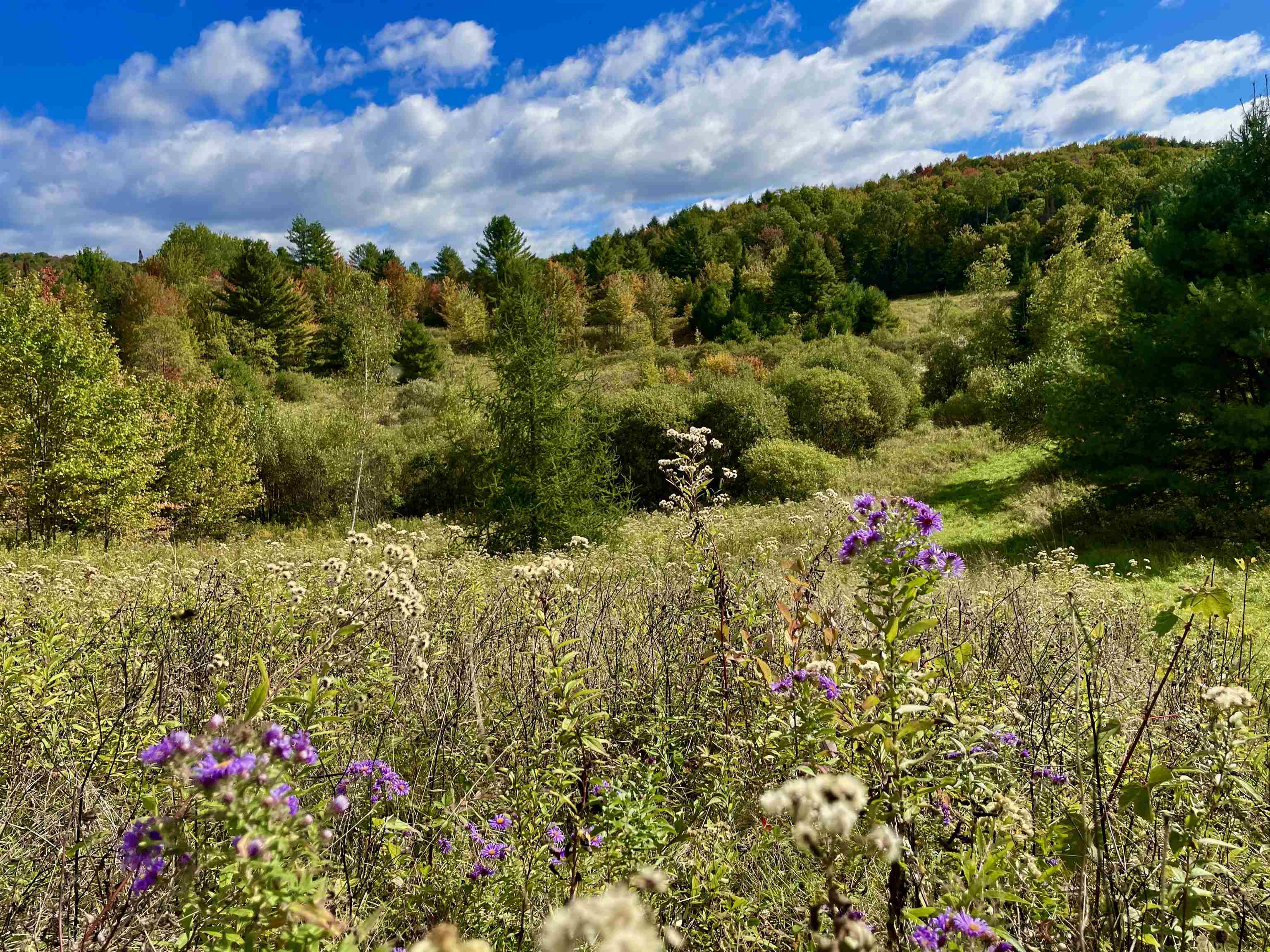 421 Kate Brook Road Hardwick, VT 05843 - Photo 1 of 18