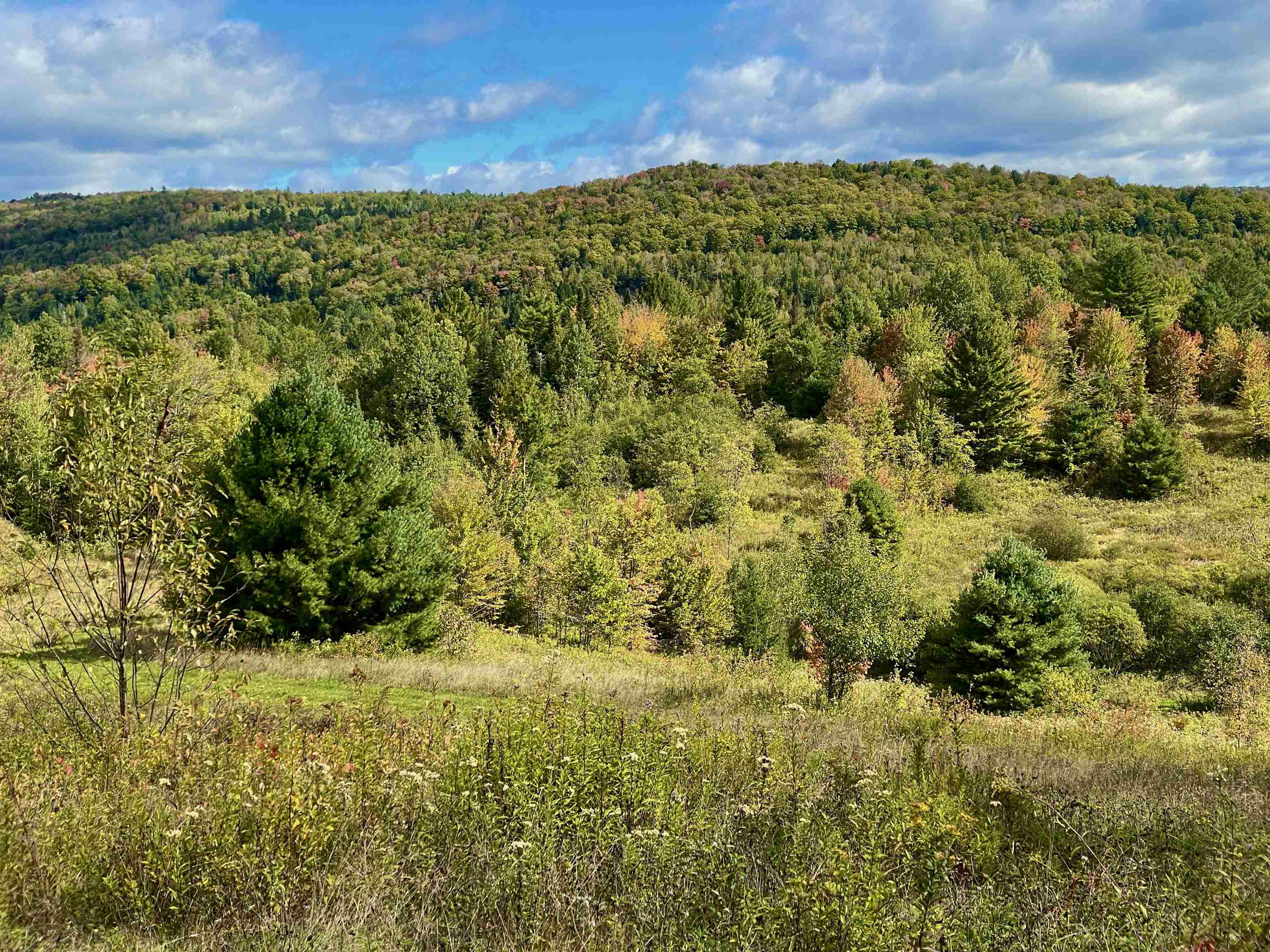 421 Kate Brook Road Hardwick, VT 05843 - Photo 11 of 18