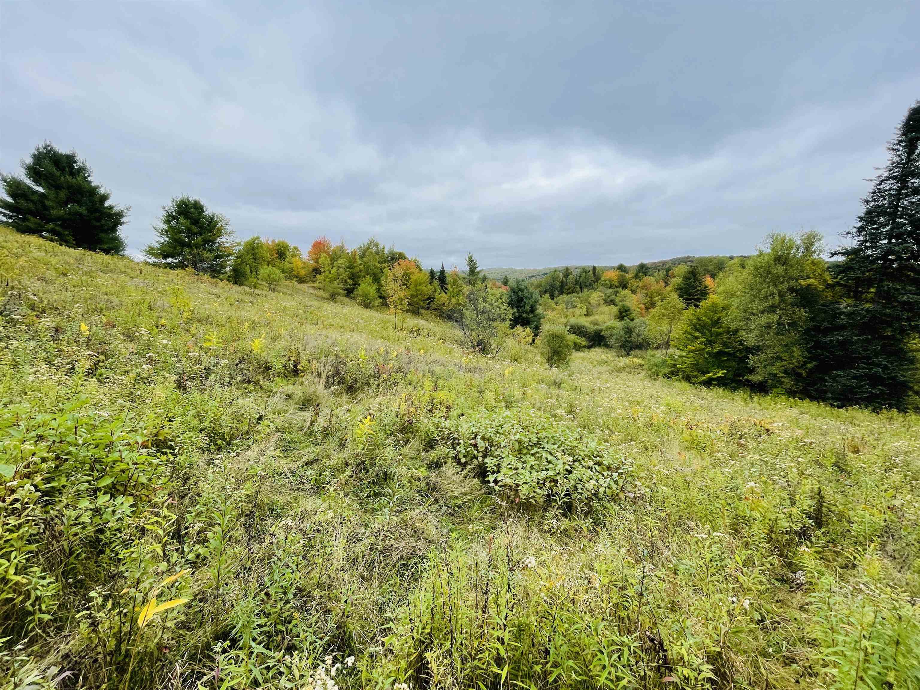 421 Kate Brook Road Hardwick, VT 05843 - Photo 14 of 18
