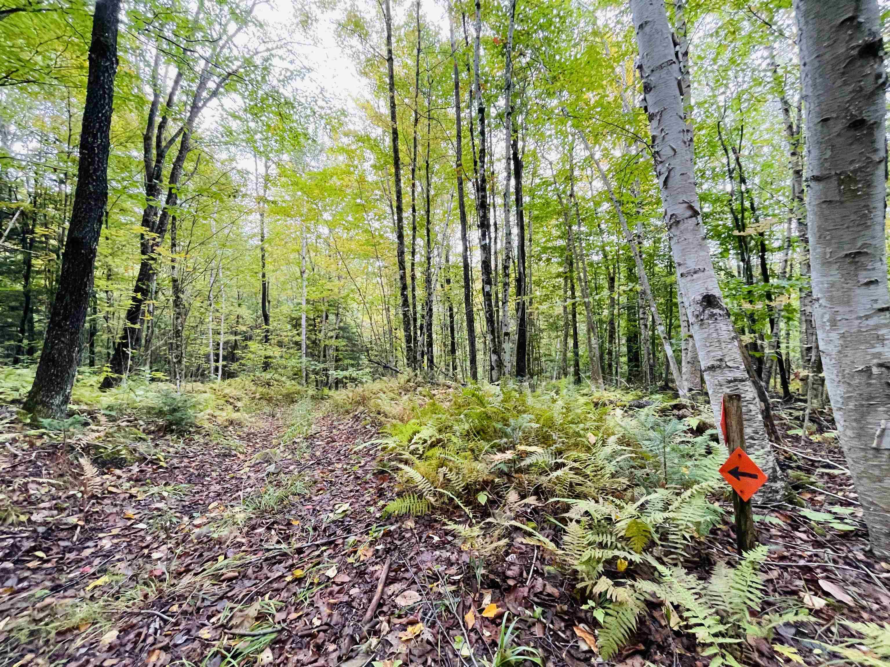 421 Kate Brook Road Hardwick, VT 05843 - Photo 10 of 18