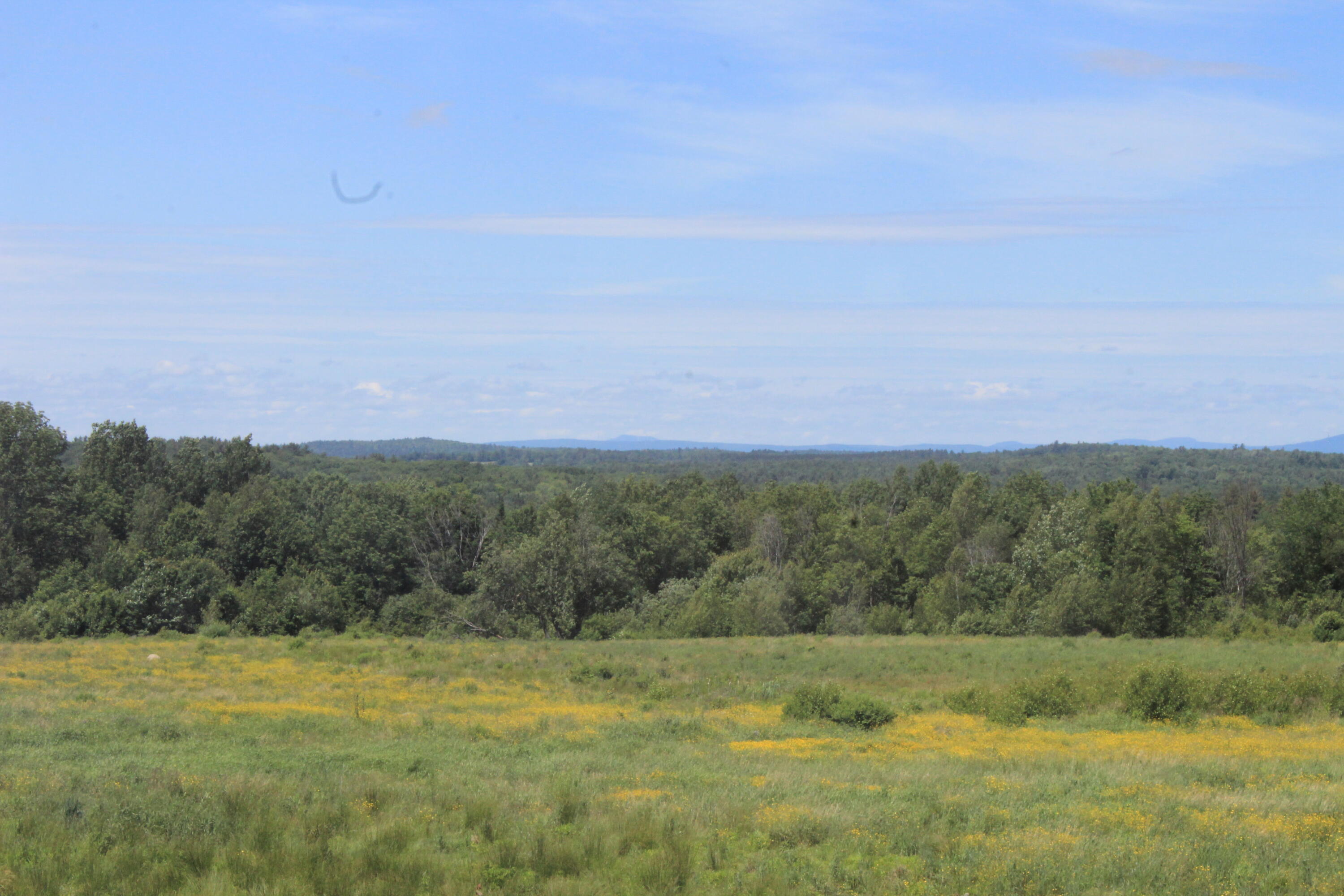 894 Oliver Hill Road Garland, ME 04939 - Photo 3 of 29 The view!