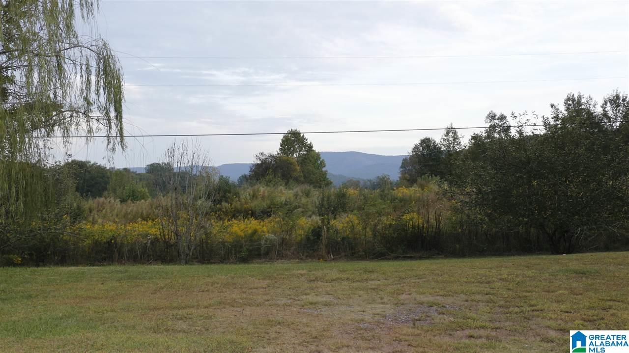 523 Goat Farm Road Anniston, AL 36206 - Photo 39 of 39