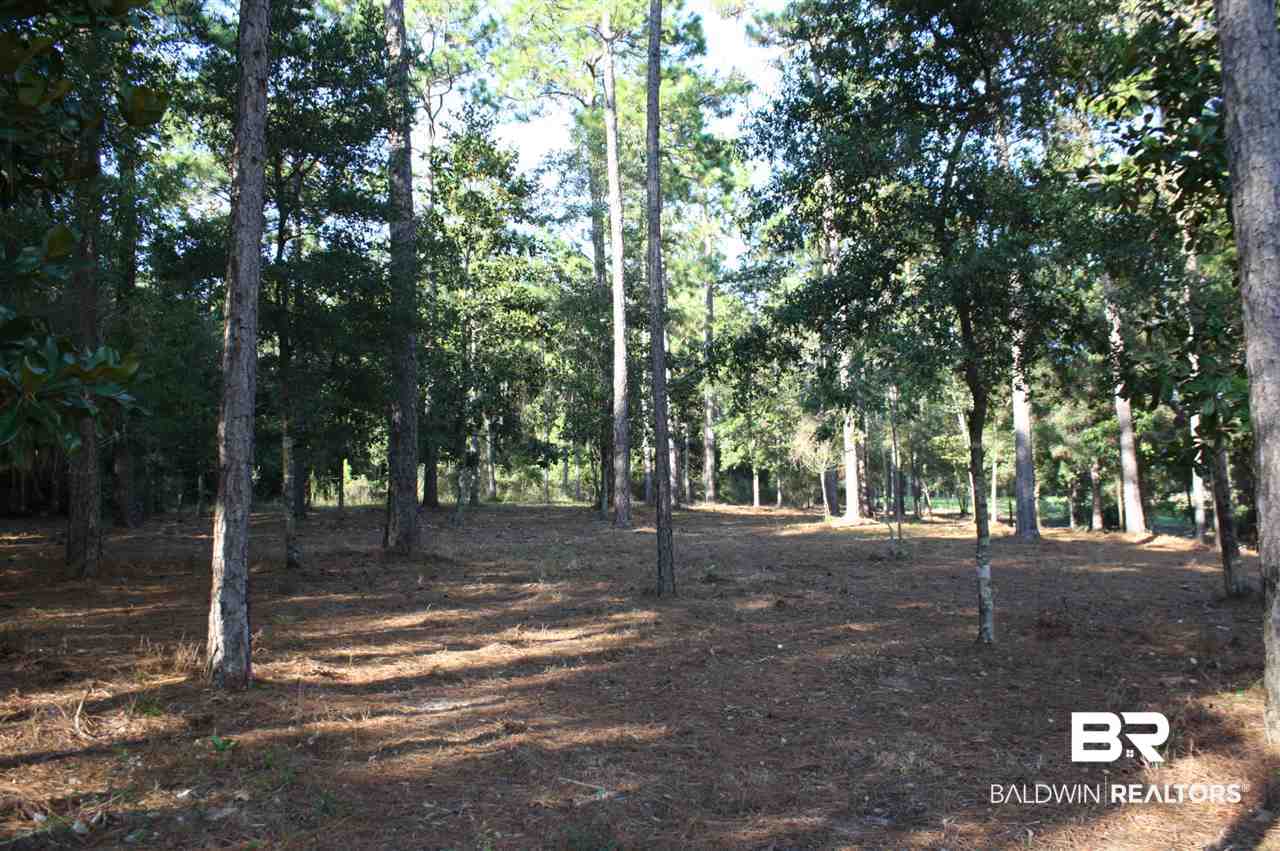 43 Shady Lane Hope Hull, AL 36043 - Photo 16 of 19