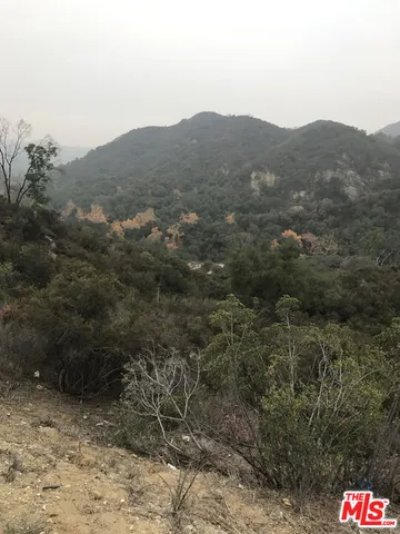 a view of a dry yard with mountains in the background
