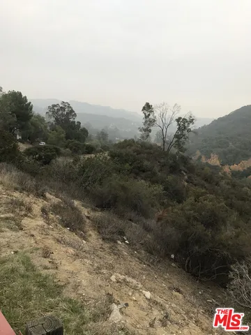 a view of a yard with trees