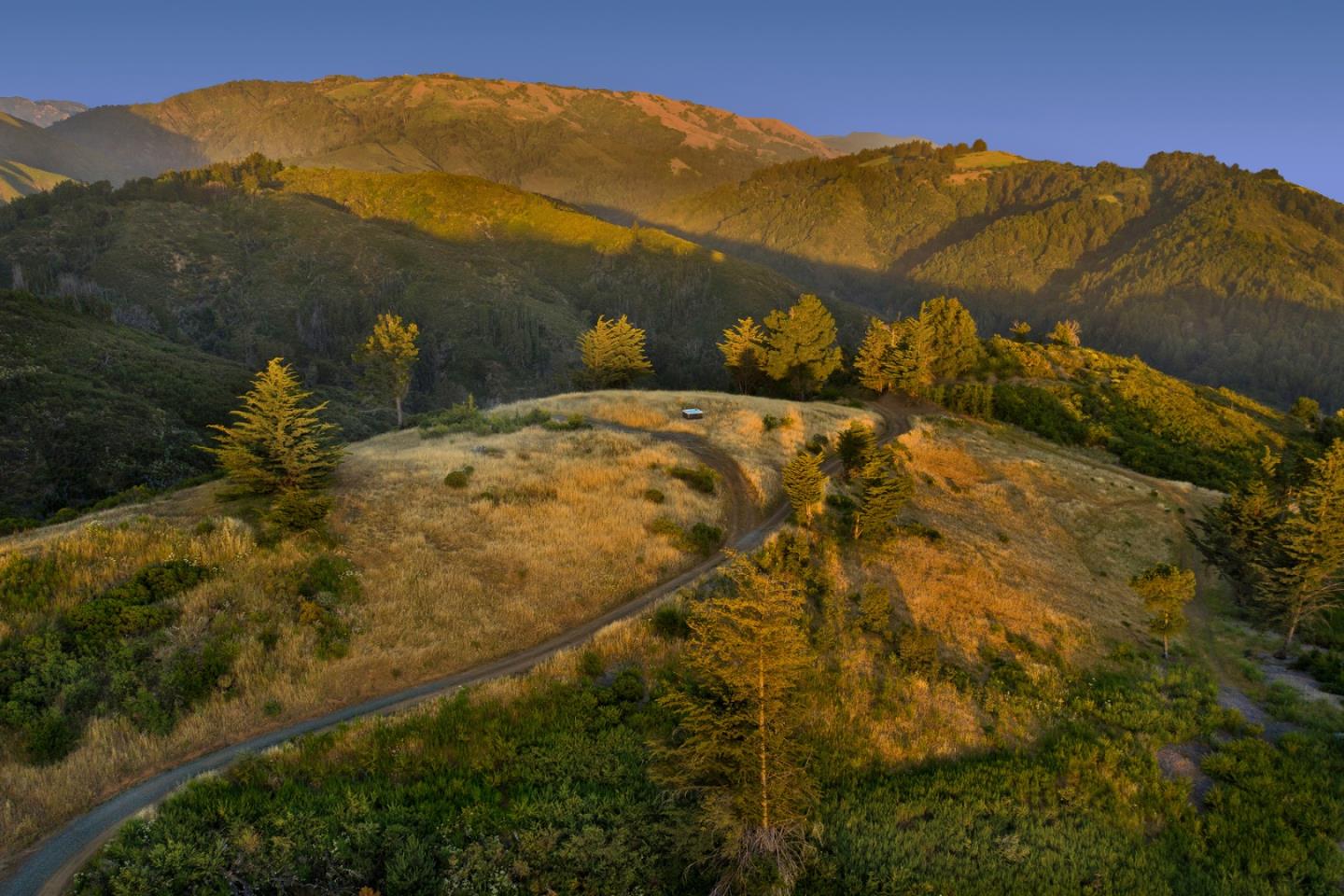 46720 Pfeiffer Ridge Road Big Sur, CA 93920 - Photo 17 of 18 Gallery Image 17