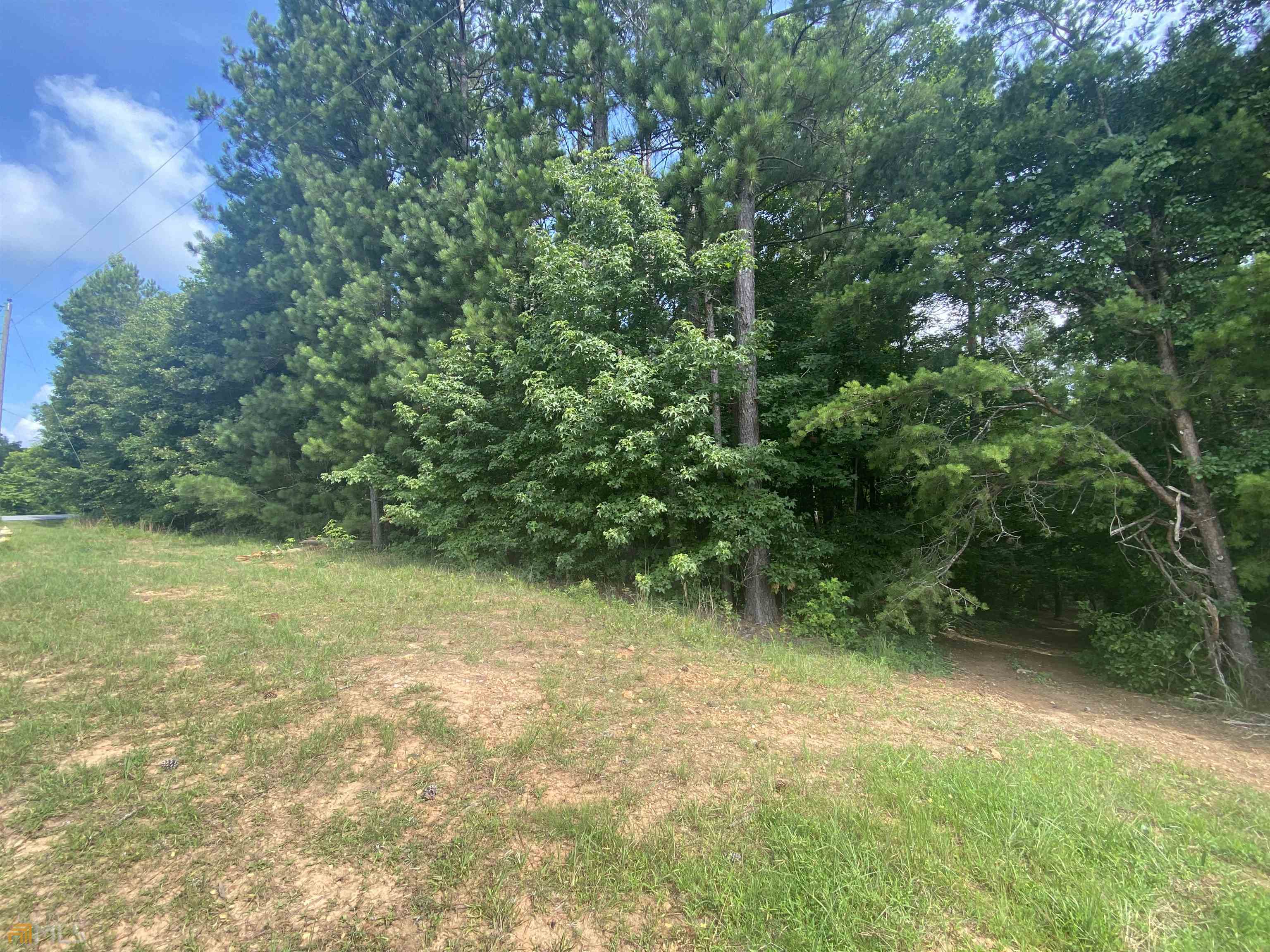 0 Poplar Springs Road Buchanan, GA 30113 - Photo 1 of 1 a view of a yard with a tree