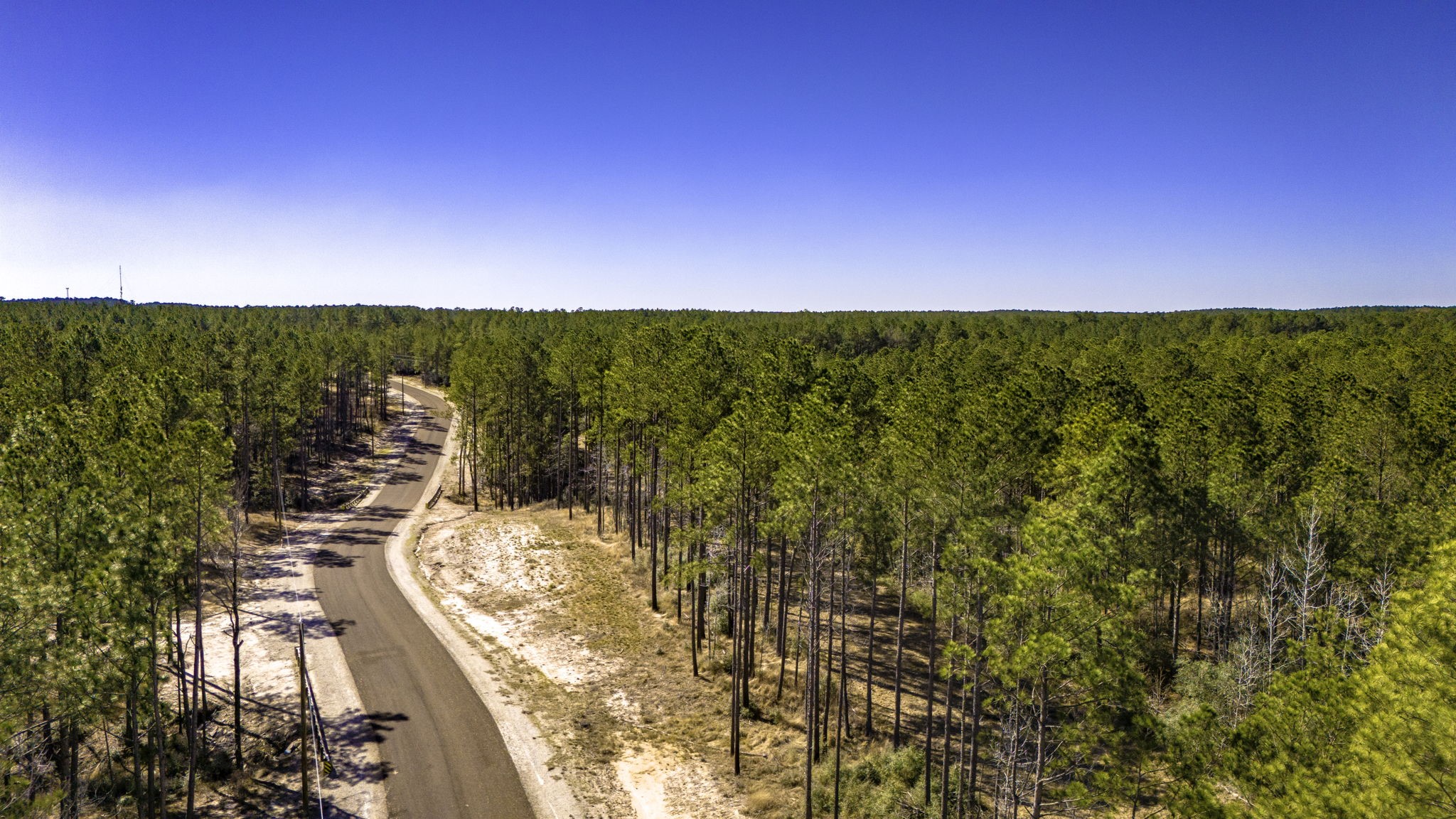 45 South King Ranch Road Onalaska, TX 77360 - Photo 9 of 15 a view of a city
