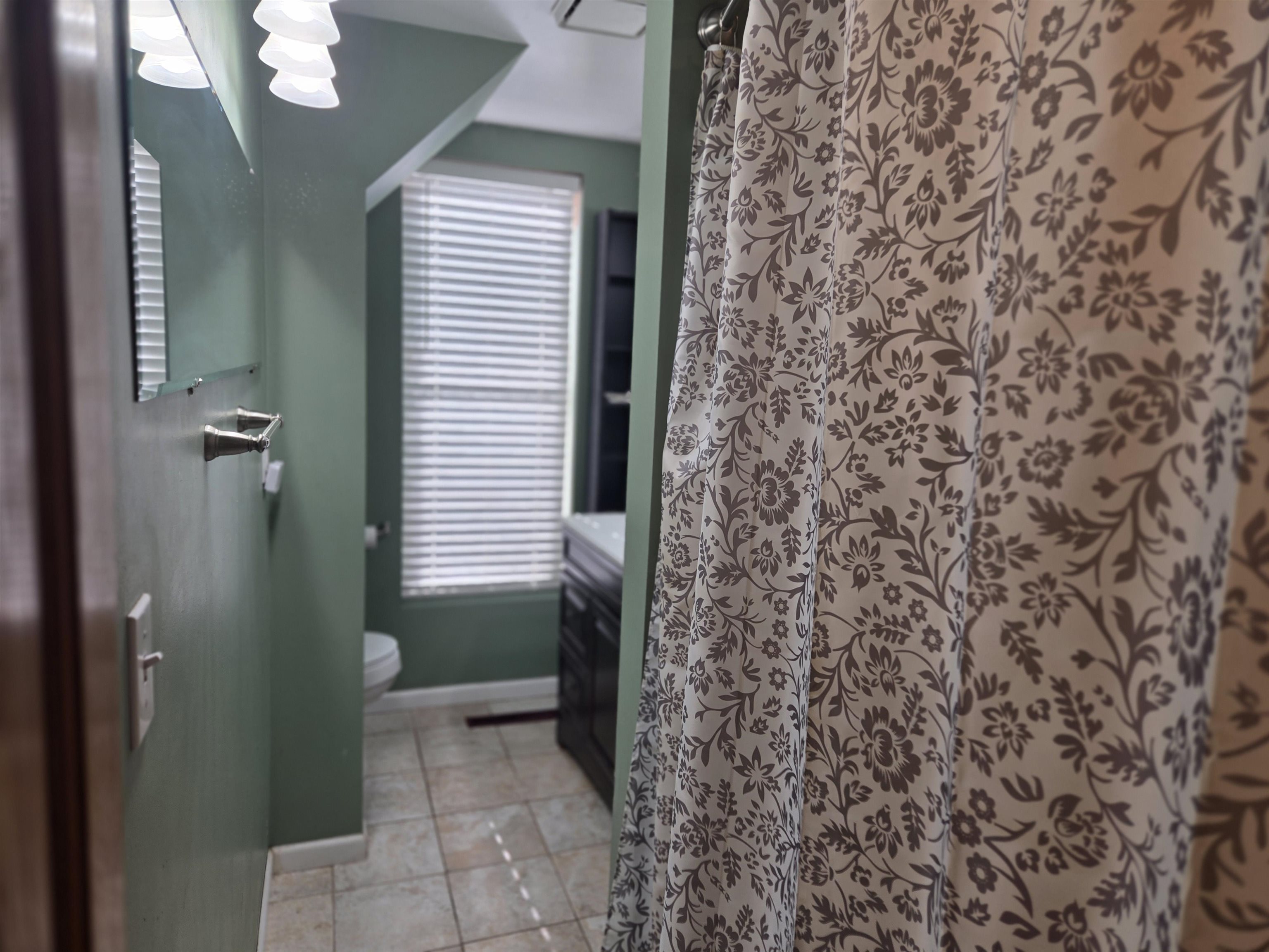 732 West 2nd Street Byron, IL 61010 - Photo 7 of 22 a bathroom with a shower curtain and a sink