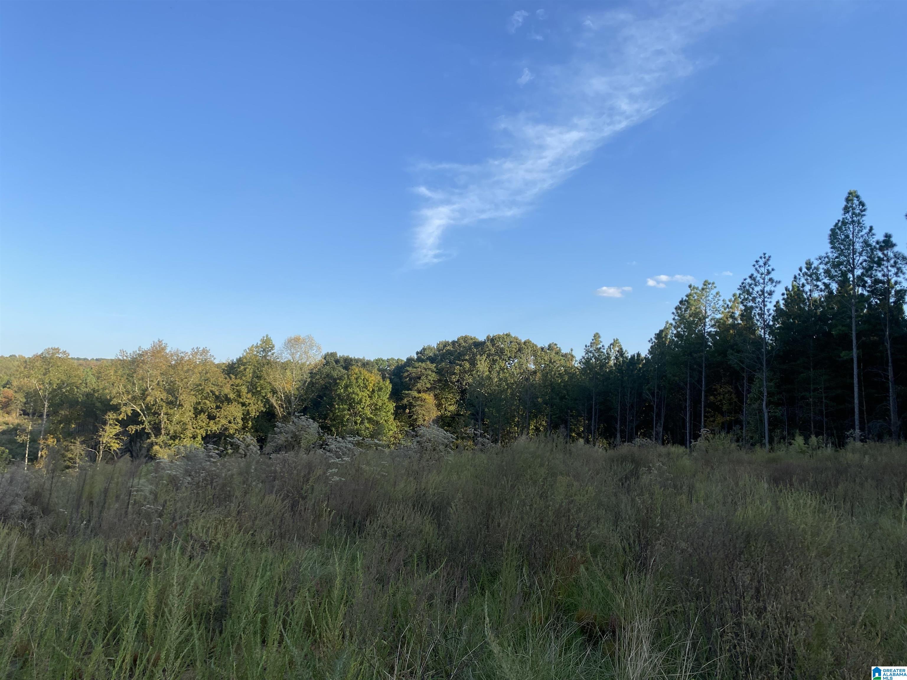 0 Frost Road, Unit 100 / ACRES Springville, AL 35146 - Photo 15 of 60
