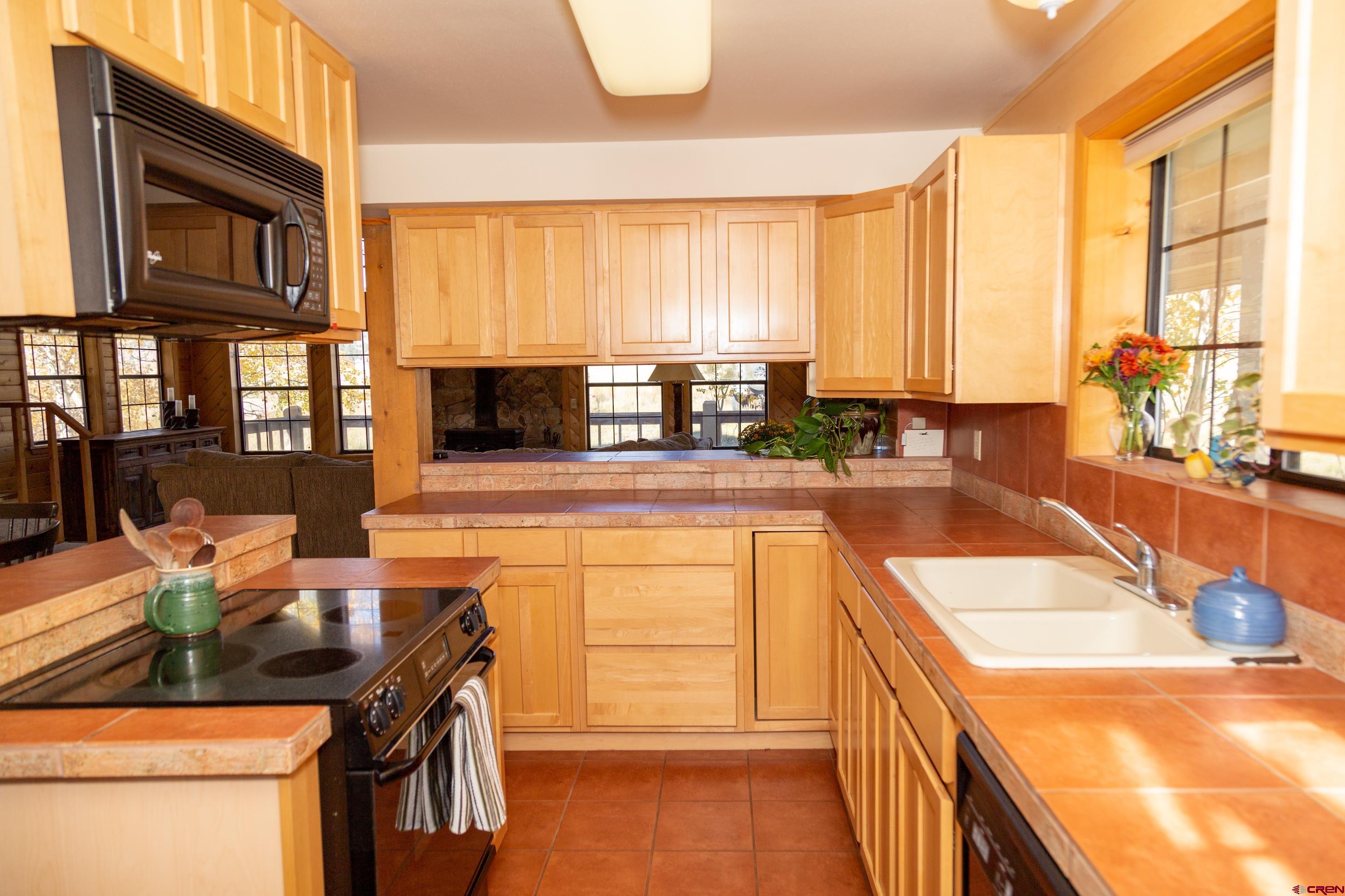 516 Rio Grande Court Creede, CO 81130 - Photo 6 of 33 a kitchen with stainless steel appliances granite countertop a stove a sink and a microwave