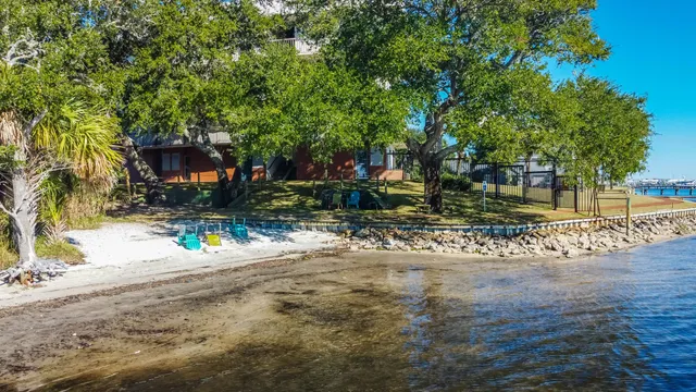 a view of a yard with plants and trees