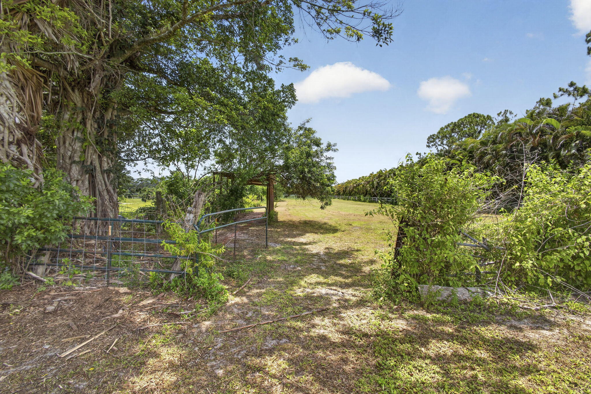 2944 A Road Loxahatchee, FL 33470 - Photo 52 of 69 2944 A Road (51)