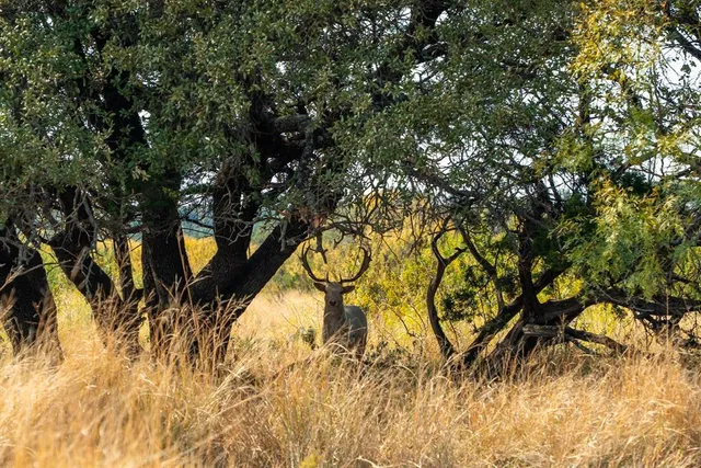 a view of a lake with a mountain