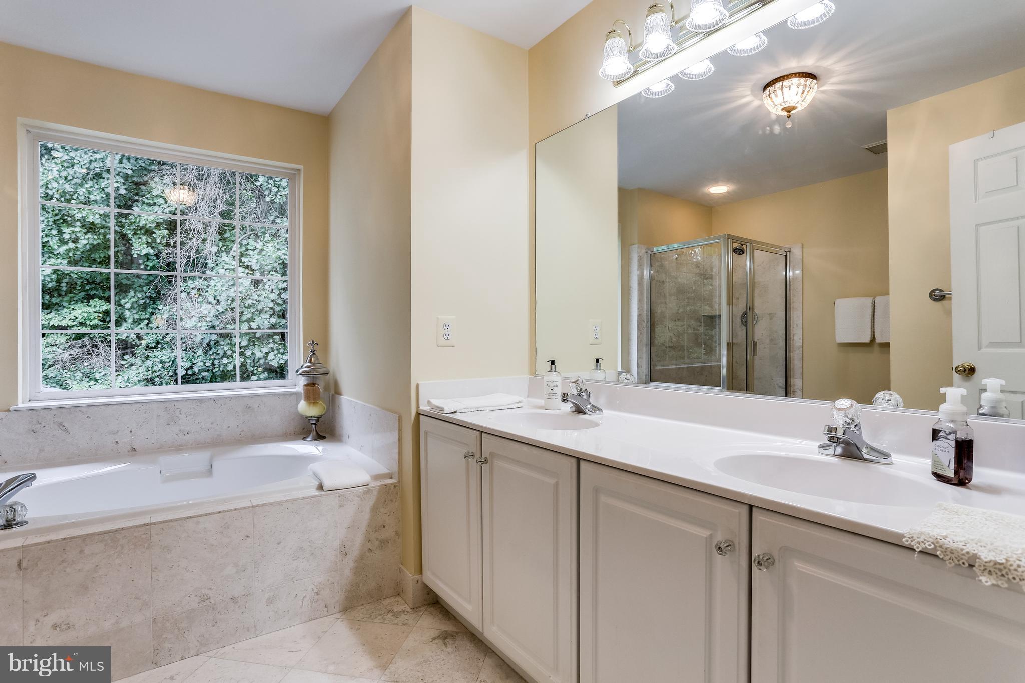 8540 Ellicott View Road Ellicott City, MD 21043 - Photo 18 of 30 Bath (Master)