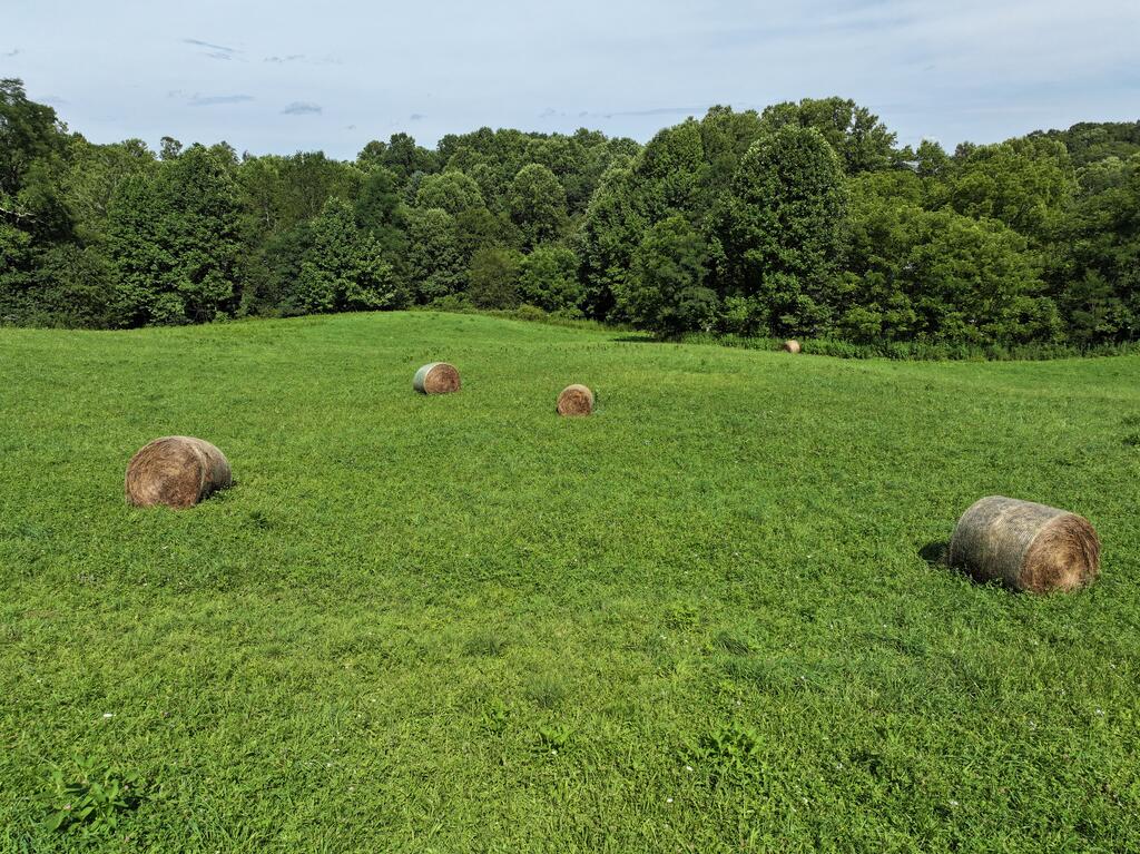8211 Squirrel Spur Road Meadows Of Dan, VA 24120 - Photo 36 of 50 Gallery Image 36