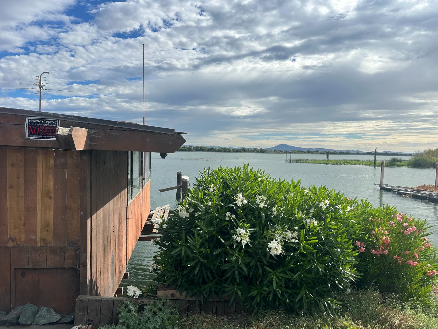 785 West Brannan Island Road Isleton, CA 95641 - Photo 8 of 21