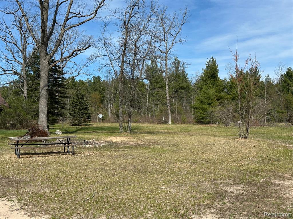 2840 Allen Road Hale, MI 48739 - Photo 5 of 21