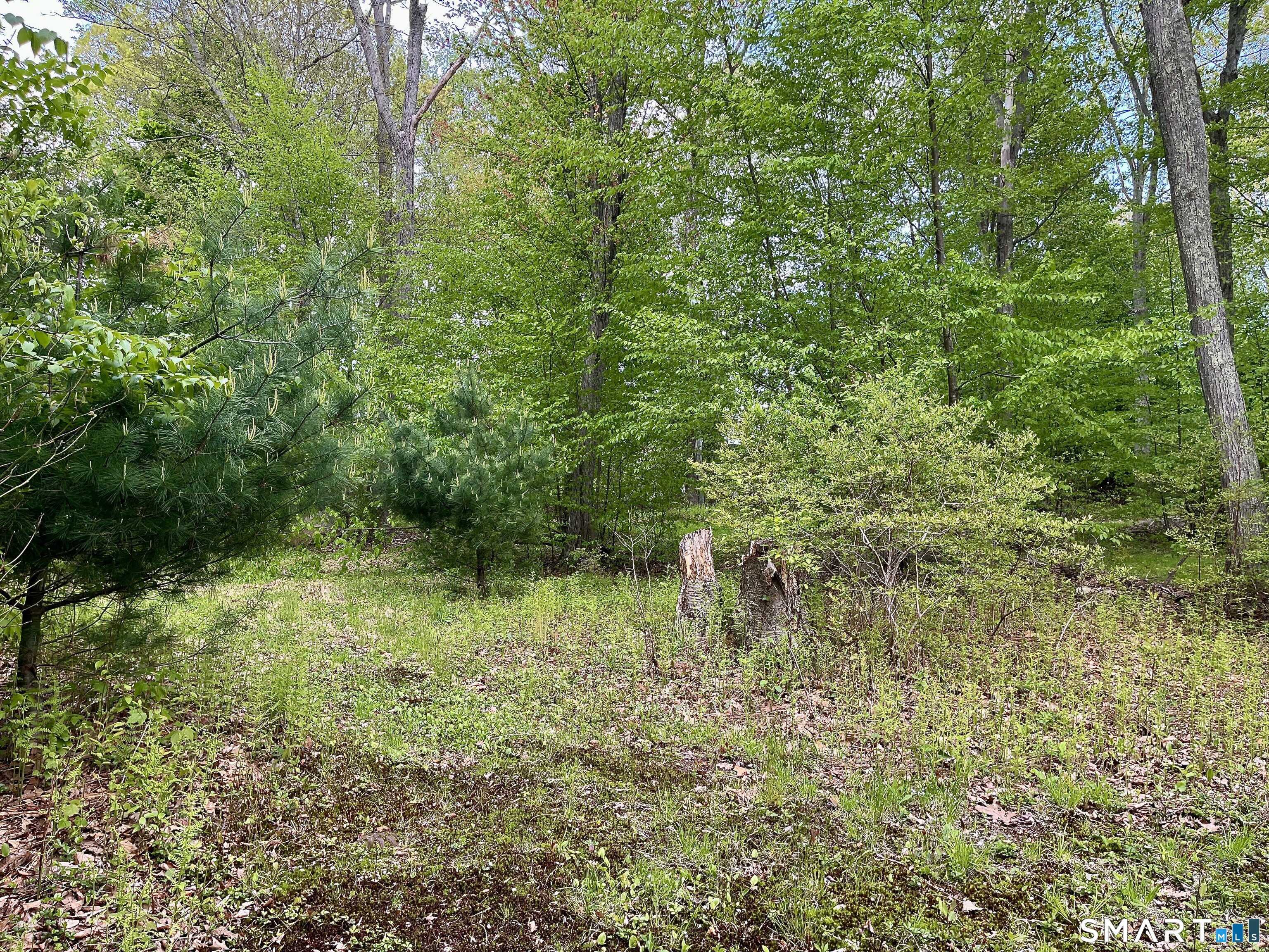 Meadow Brook Road Amston, CT 06231 - Photo 9 of 14 a view of a garden