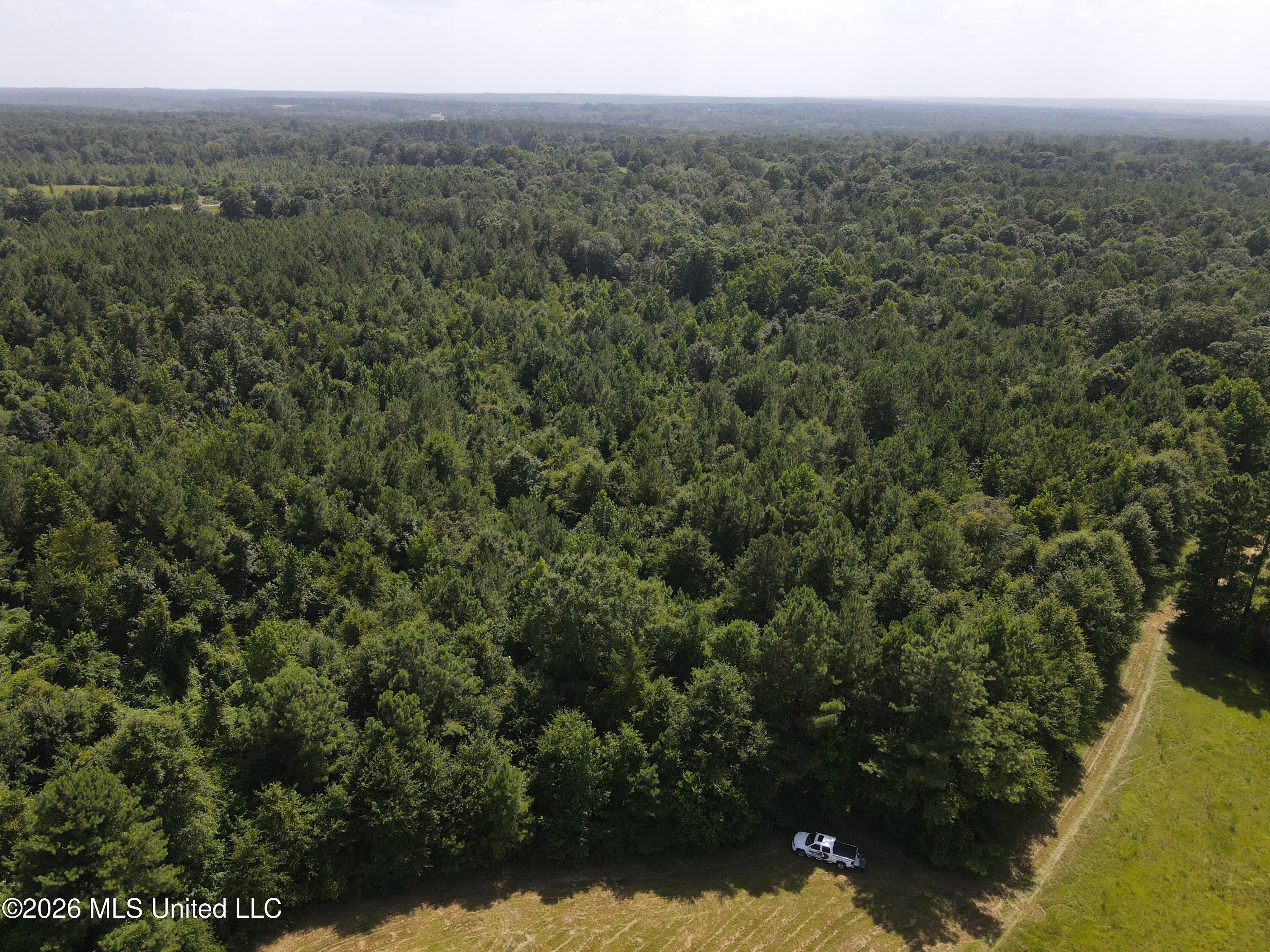 Mt Carmel Road Prentiss, MS 39474 - Photo 5 of 53 37912