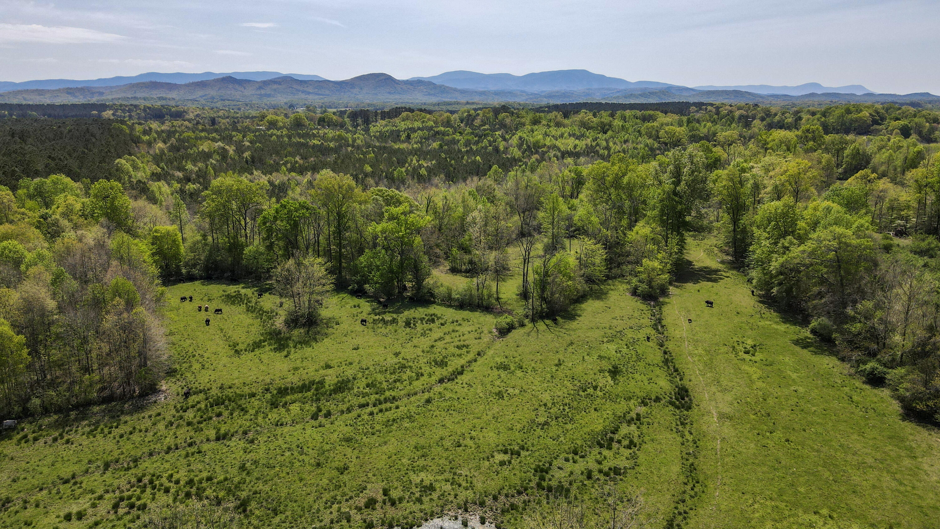 137.6-acre Melton Road Southeast Old Fort, TN 37362 - Photo 29 of 53 29-DJI_0302