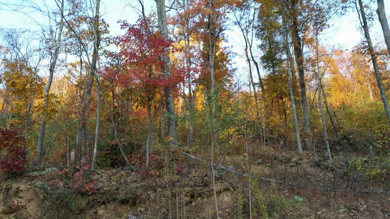 Simmons Gap Road Free Union, VA 22940 - Photo 2 of 4 Gallery Image 2