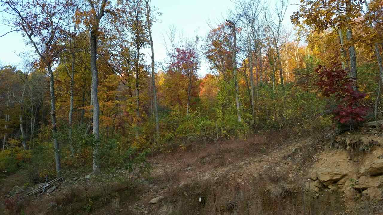 Simmons Gap Road Free Union, VA 22940 - Photo 3 of 4 Gallery Image 3