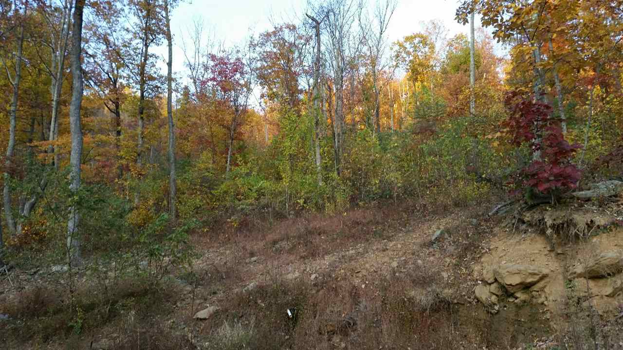 Simmons Gap Road Free Union, VA 22940 - Photo 4 of 4 Gallery Image 4