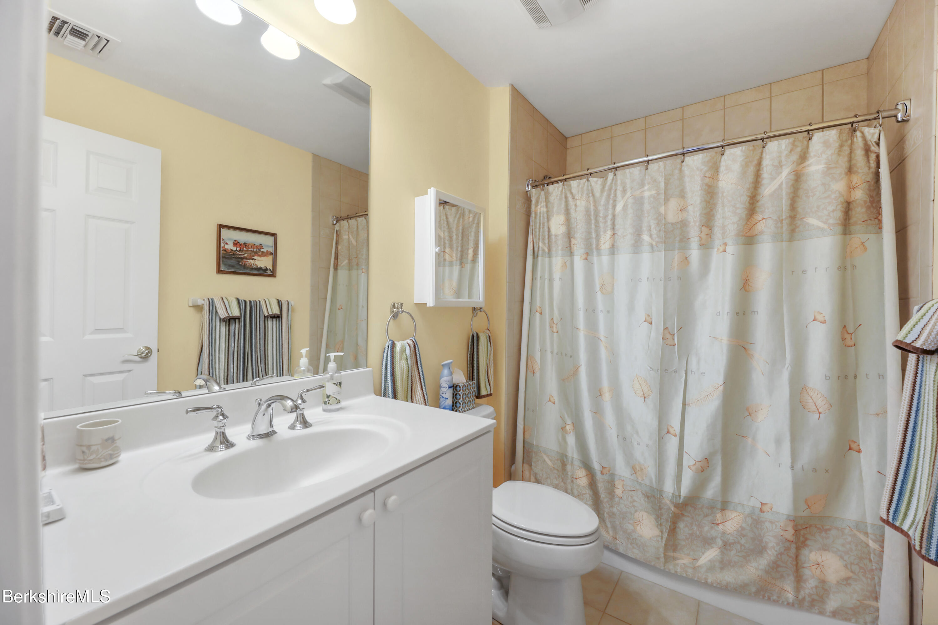 67 Alpine Trail Pittsfield, MA 01201 - Photo 24 of 40 a bathroom with a sink a toilet and a mirror
